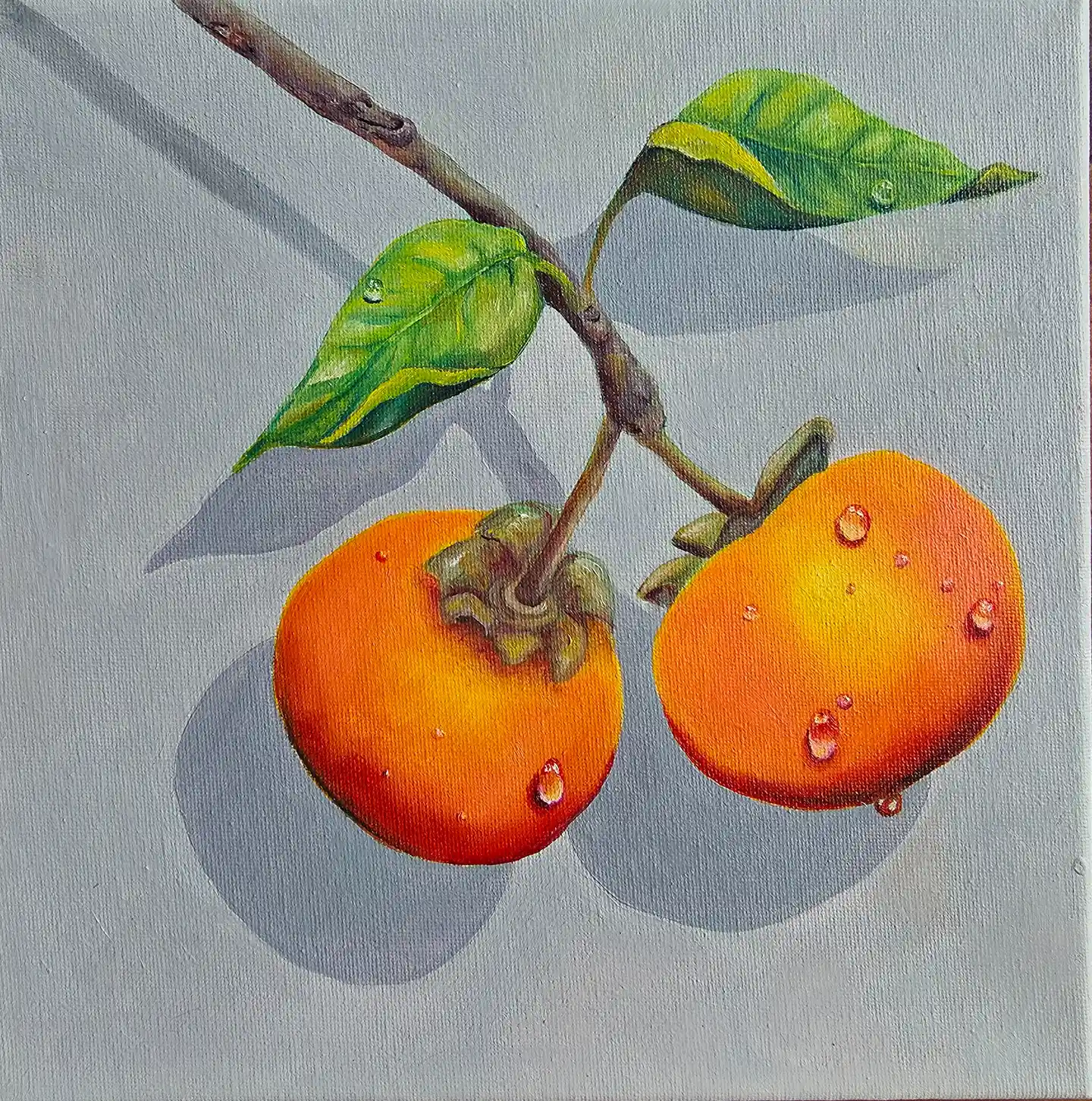 Harvest II